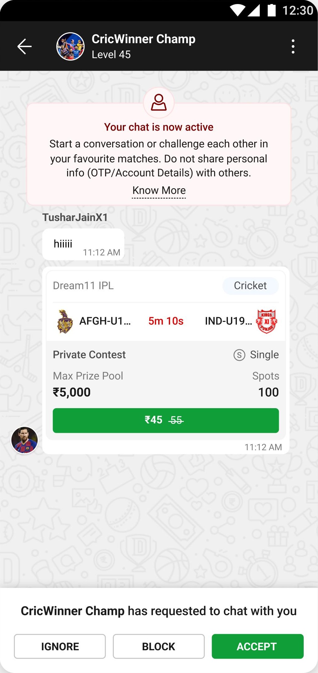 A chat request with ignore, block and accept, and the safety notice above it